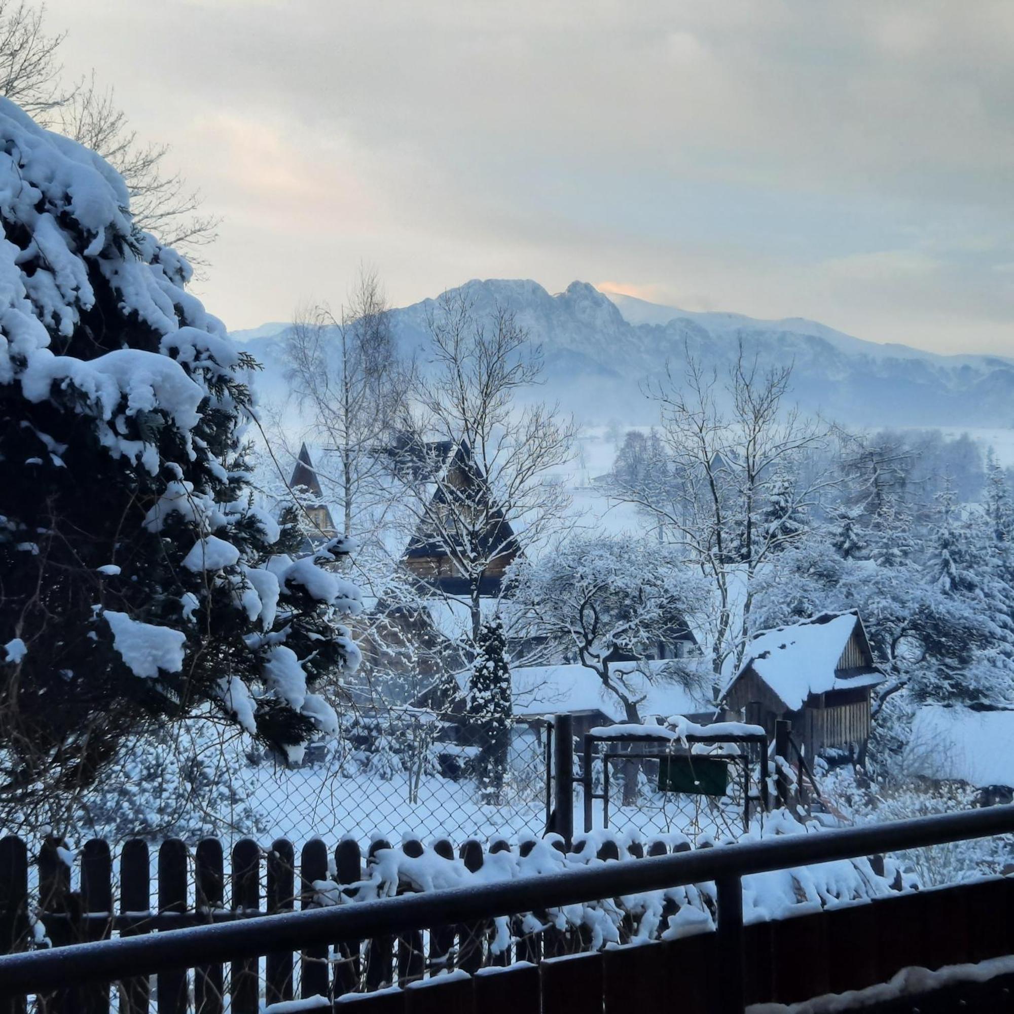 Willa U Bzyka Zakopane Exterior photo