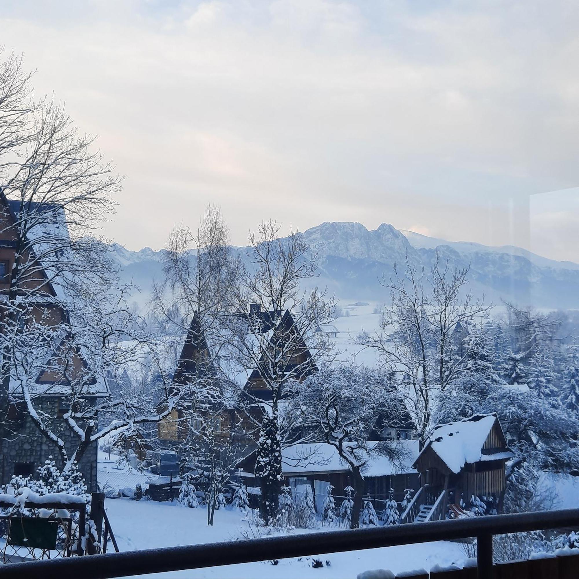 Willa U Bzyka Zakopane Exterior photo